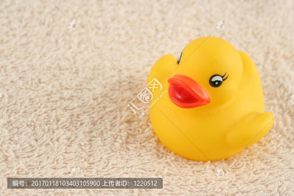 橡皮小鴨
