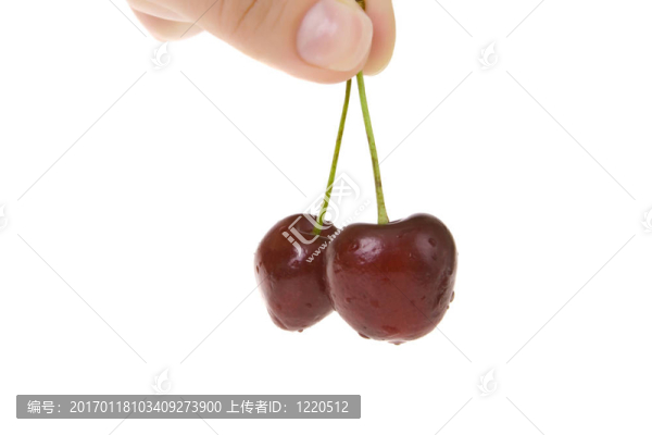 一對櫻桃在手