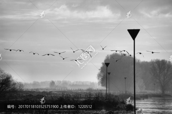 荷蘭景觀