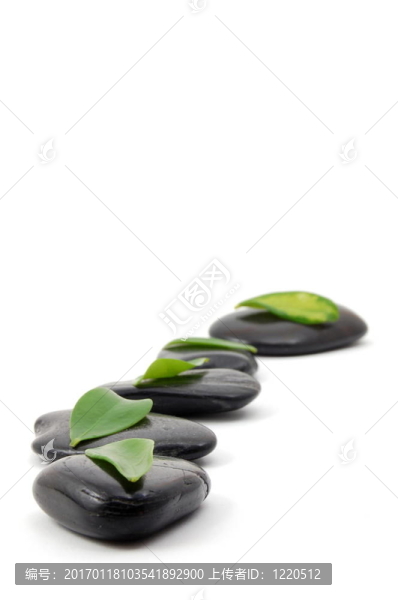 白色背景上的石頭