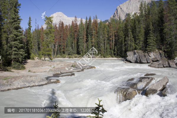 優(yōu)鶴國(guó)家公園自然橋-匯圖網(wǎng) www.fosd68.com 優(yōu)鶴國(guó)家公園自然橋