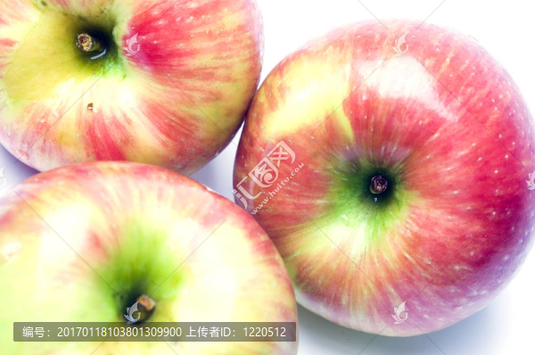 蜜脆蘋果