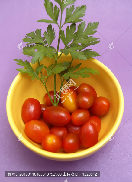 櫻桃番茄和香菜
