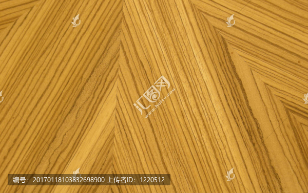 斑馬木設(shè)計(jì)