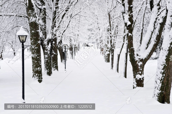 冬季公園里的小路