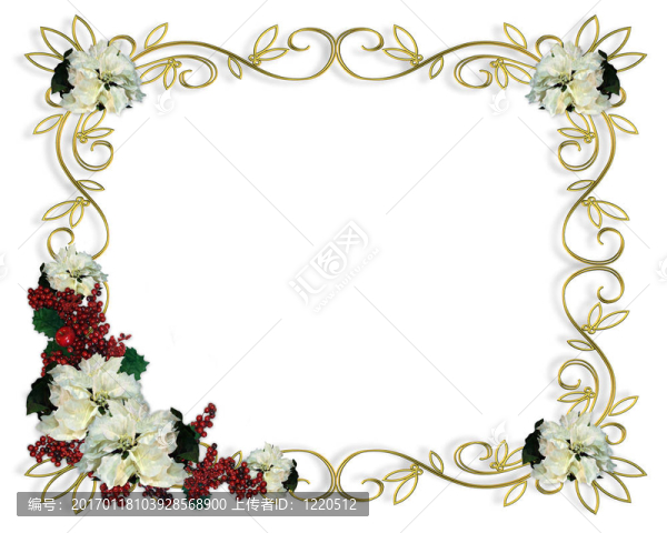圣誕版Border,White,Poinse