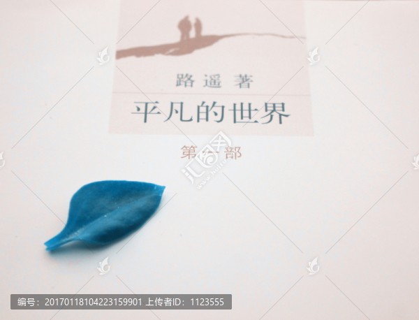 路遙,平凡的世界,圖書
