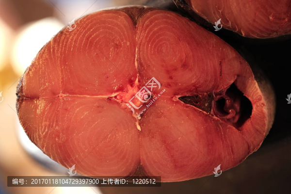 魚的魚片