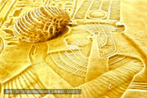 室內(nèi)圖片-匯圖網(wǎng) www.fosd68.com 室內(nèi)圖片