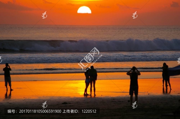 欣賞陽(yáng)光