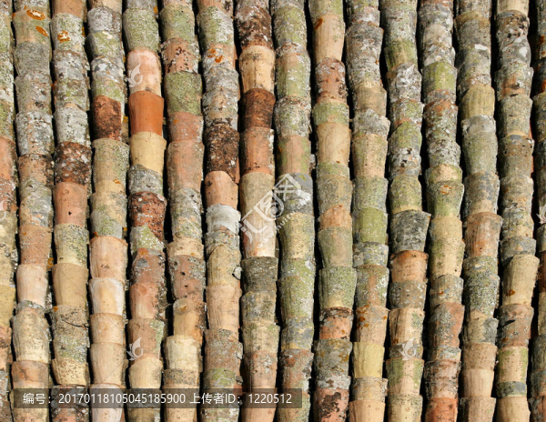 陶瓷屋頂瓦圖案