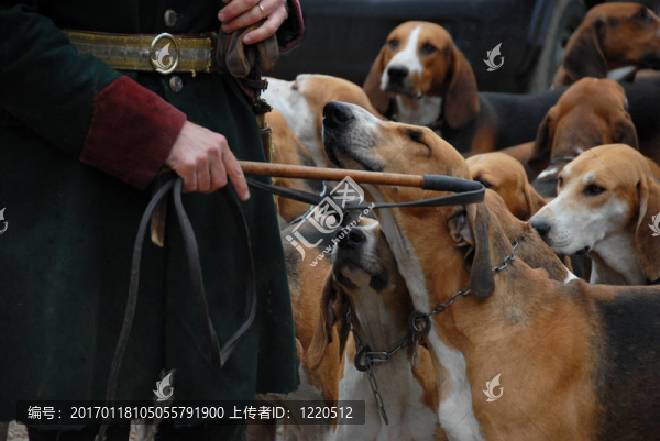 獵狐
