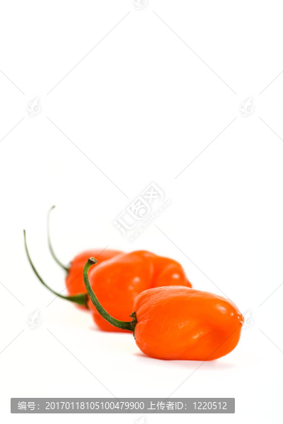 三采購(gòu)產(chǎn)品垂直