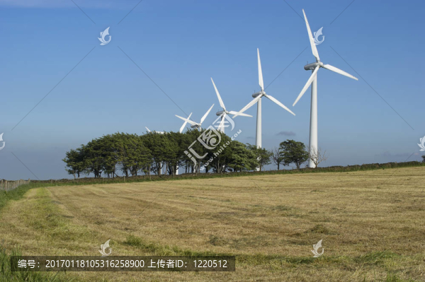 約克郡風電場