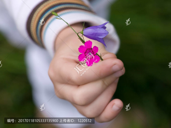 兒童手上的春天花