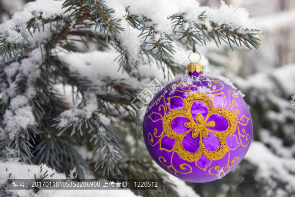 圣誕樹(shù)。