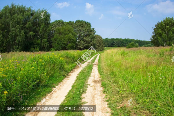 田野里的路