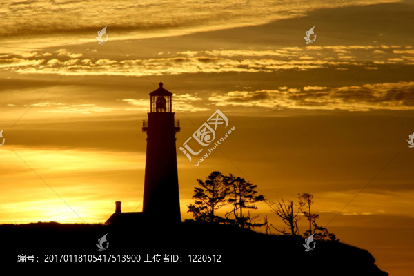 俄勒岡海岸的肖像