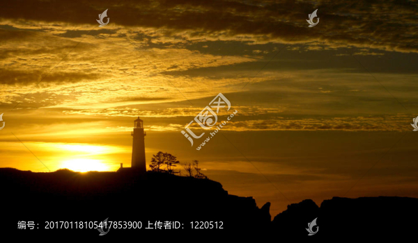 俄勒岡海岸的肖像