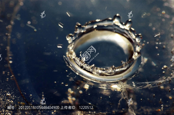 水冠