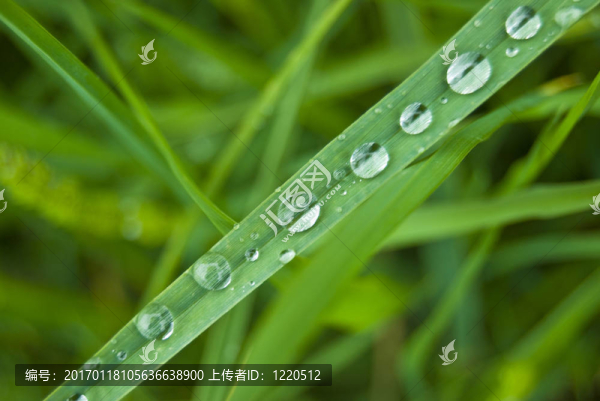 雨滴