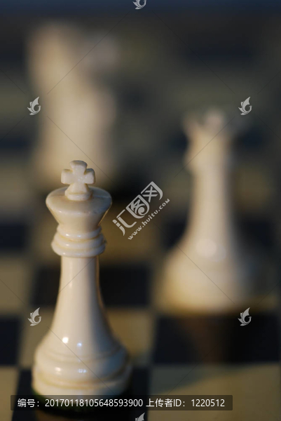 國際象棋的領(lǐng)導(dǎo)