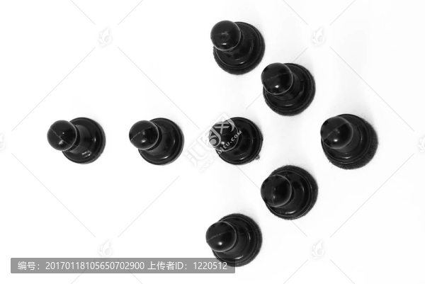 國際象棋的領(lǐng)導(dǎo)