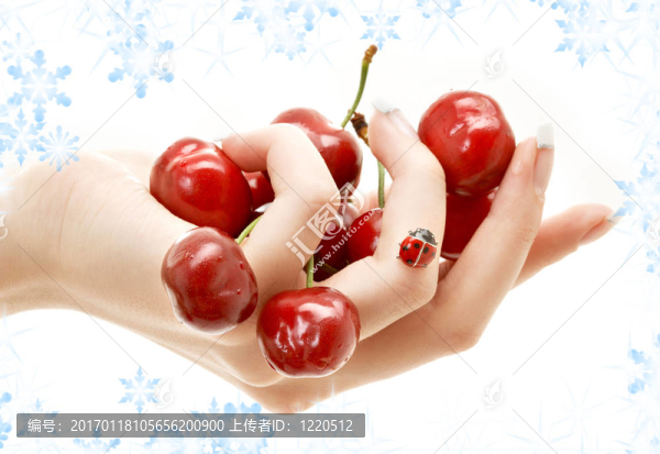 手上滿是紅櫻桃-匯圖網(wǎng) www.fosd68.com 手上滿是紅櫻桃