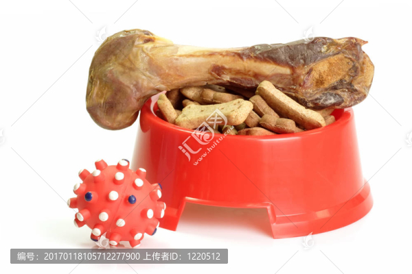 狗的樂(lè)趣