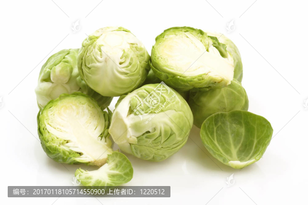 布魯塞爾豆芽