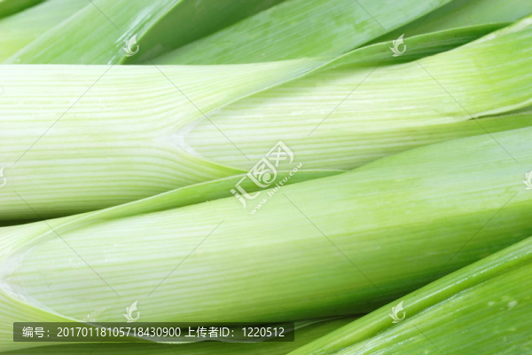 韭菜
