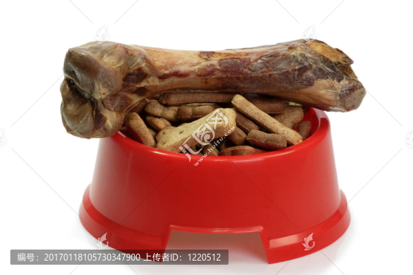 帶狗食的碗