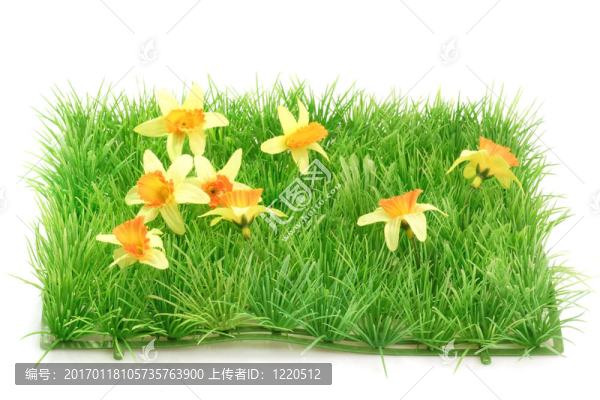 草meadow_2