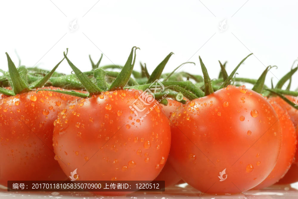 西紅柿