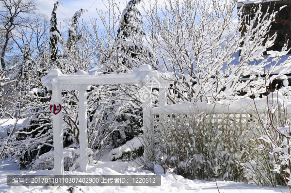 冬季房屋的前庭院