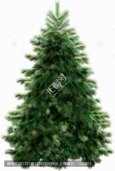 具有裁剪路徑的圣誕樹(shù)-匯圖網(wǎng) www.fosd68.com 具有裁剪路徑的圣誕樹(shù)