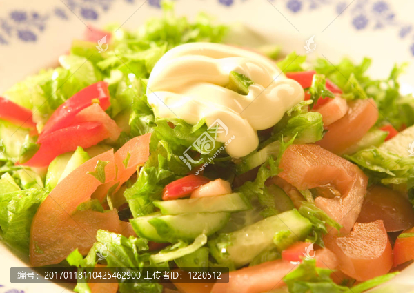 沙拉和蔬菜-匯圖網(wǎng) www.fosd68.com 沙拉和蔬菜