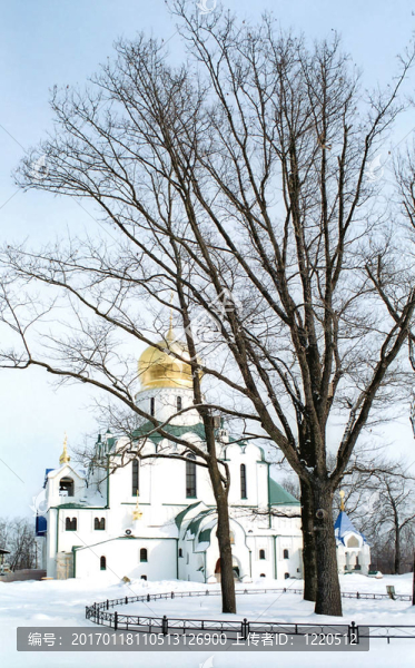 Theodor,Cathedral觀
