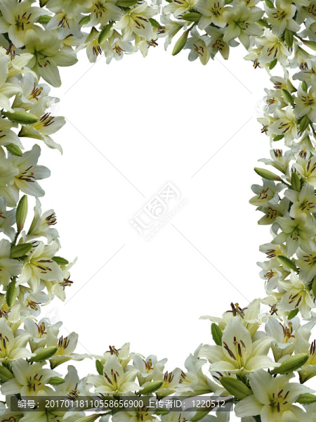 框架從花