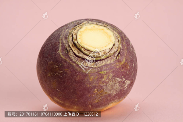 蘿卜
