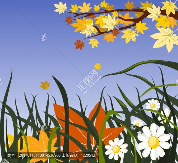 秋花背-匯圖網(wǎng) www.fosd68.com 秋花背