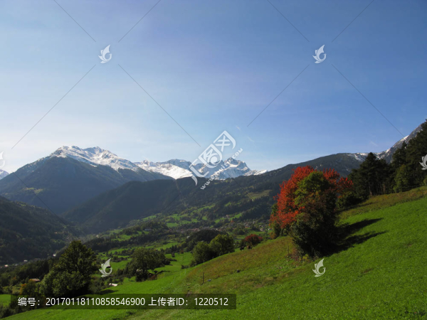 山景