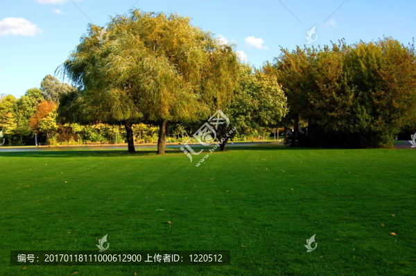 秋天的藍(lán)天下的森林和花園