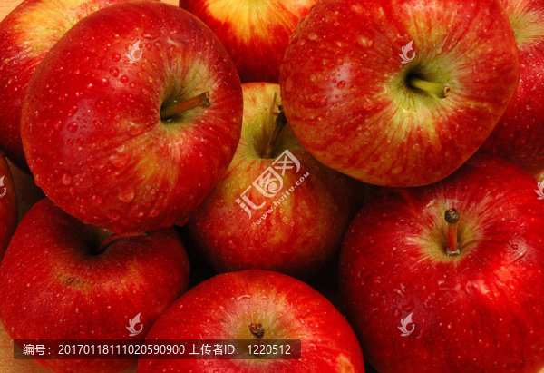 紅蘋果-匯圖網(wǎng) www.fosd68.com 紅蘋果