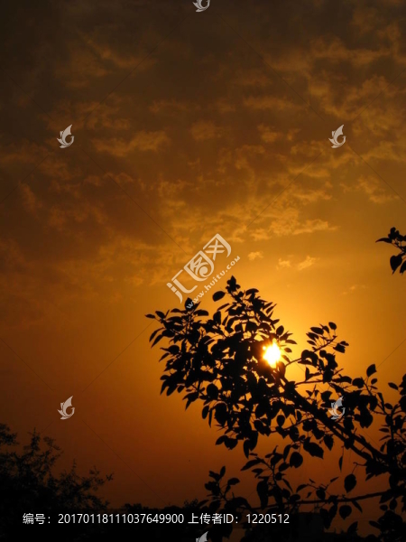 一個(gè)美麗的黃昏