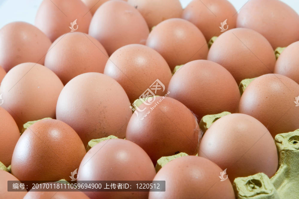 雞蛋盒