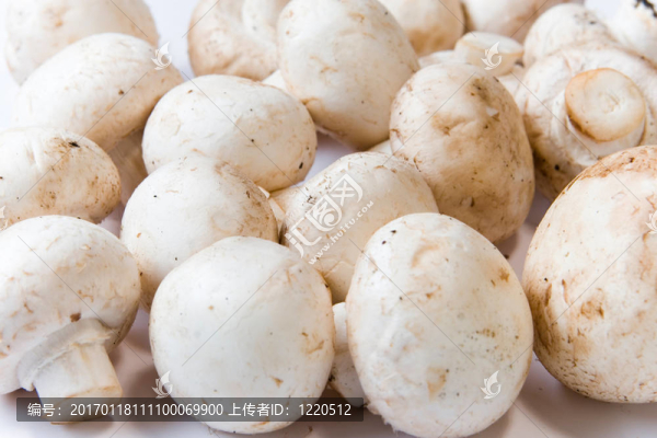 香菇