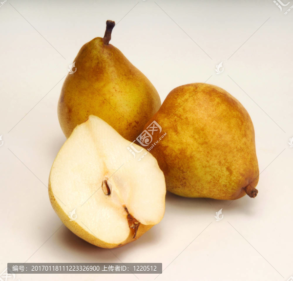 溫柏