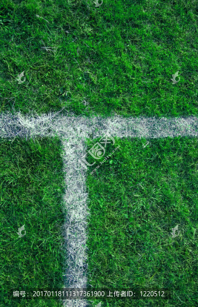 文件的行-匯圖網(wǎng) www.fosd68.com 文件的行