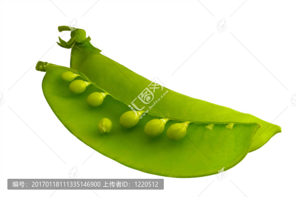 兩莢豌豆